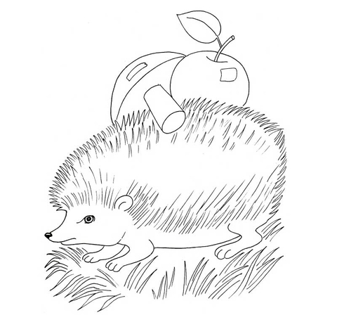 Hedgehog With Apple And Mushroom Coloring Page